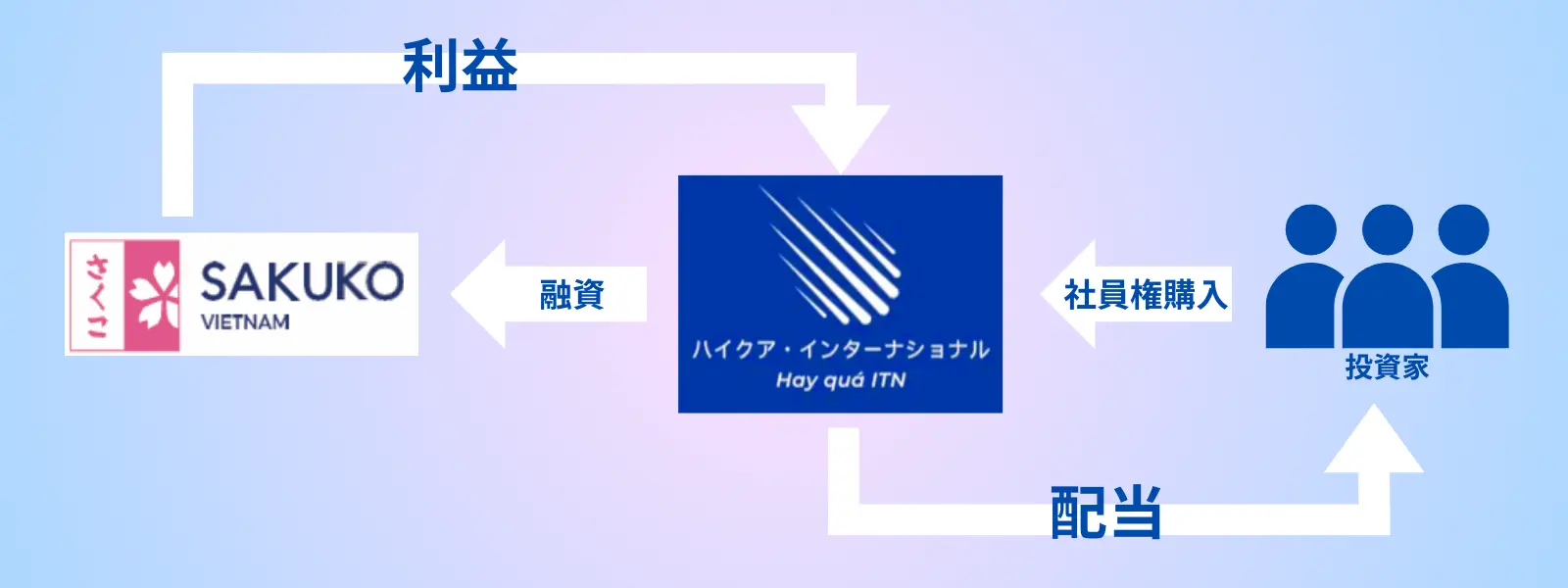 ハイクアインターナショナルの投資の流れ